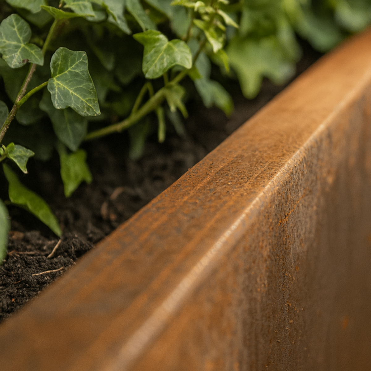 Cortenstaal keerwand recht SEGMENTA 100 x 20 x 30 cm