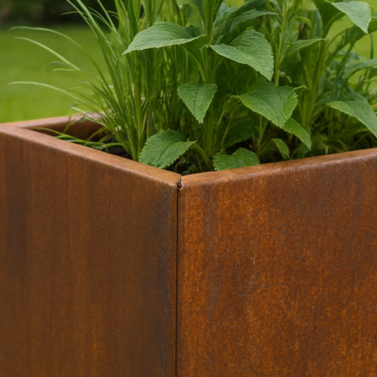 Cortenstaal plantenbak CORTEA 40 x 40 x 40 cm