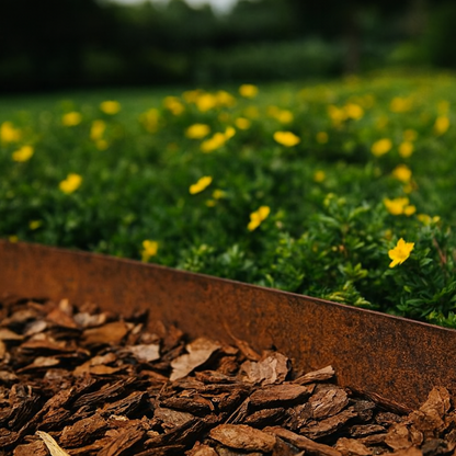 Cortenstaal kantopsluiting BORDURA 200 x 15 cm