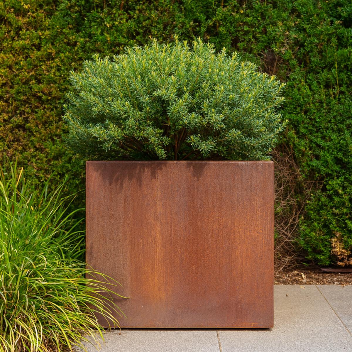 Cortenstaal plantenbak CORTEA 100 x 100 x 100 cm