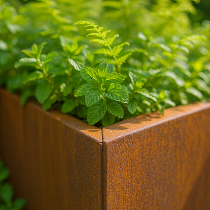 Cortenstaal plantenbak CORTEA 100 x 100 x 100 cm